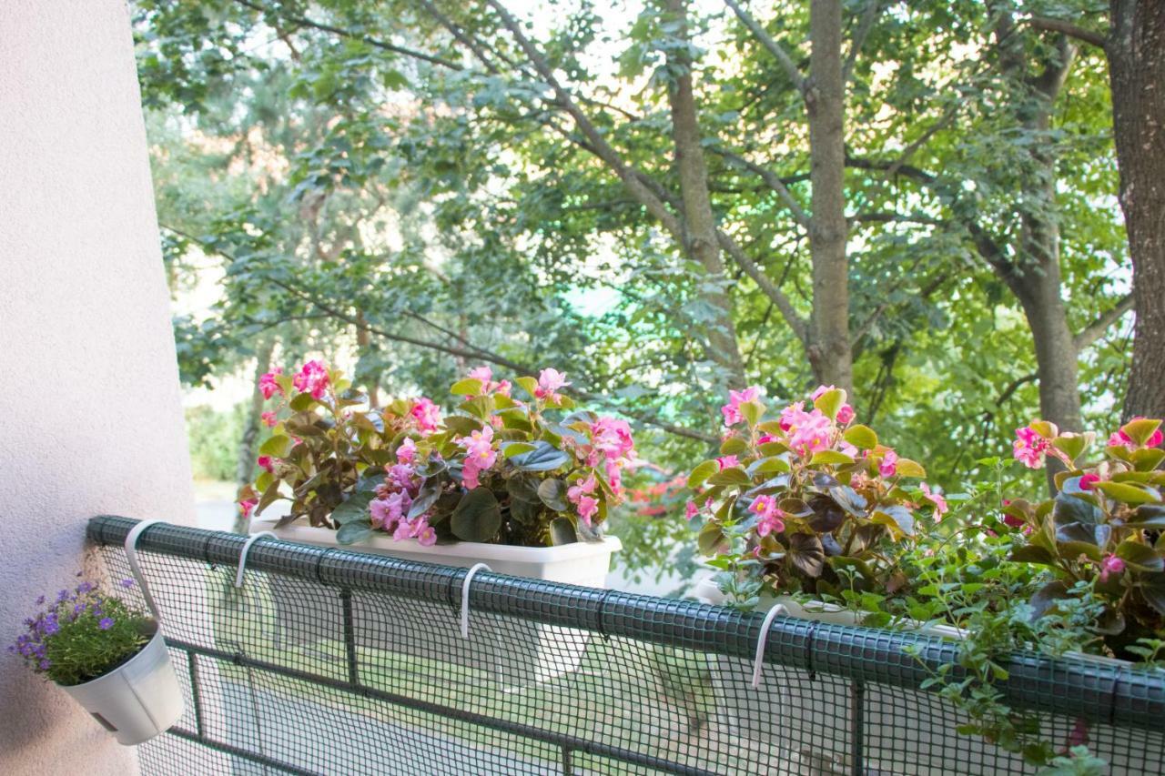 Apartman Ante Винковци Екстериор снимка