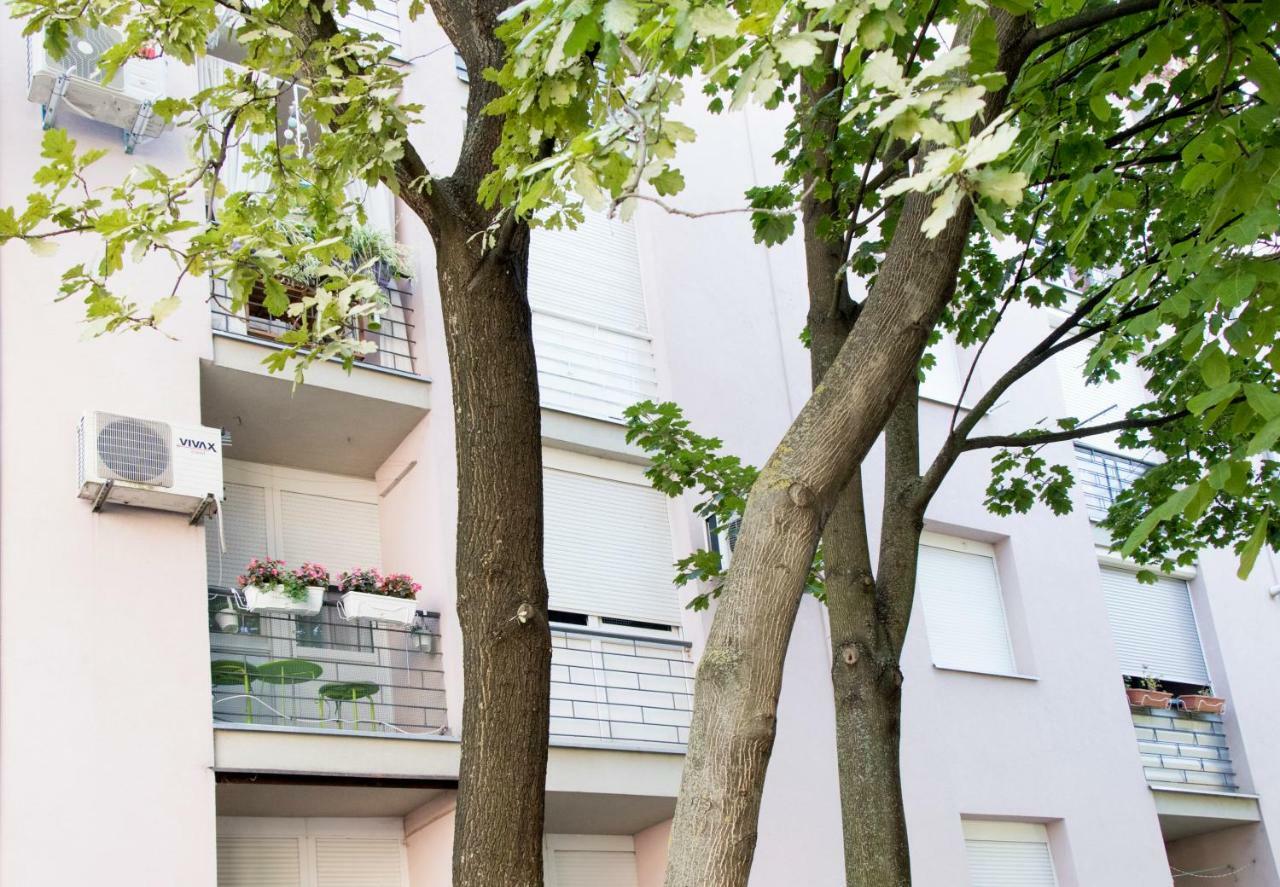 Apartman Ante Винковци Екстериор снимка
